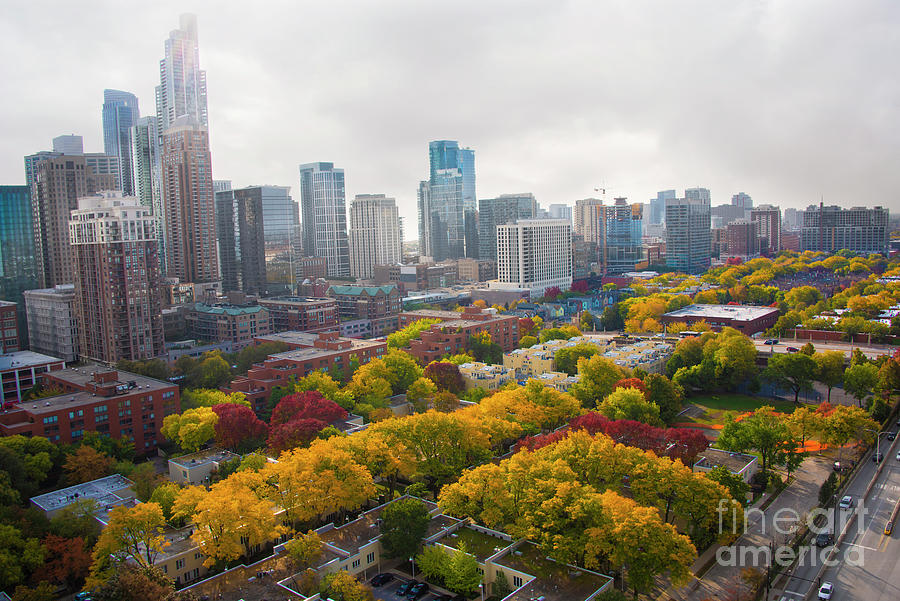 Chicago in Autumn Photograph by Juli Scalzi
