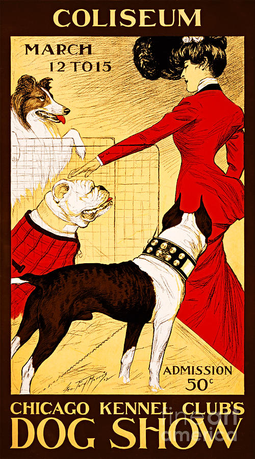 Chicago Kennel Club Dog Show 1902 Painting by Peter Ogden