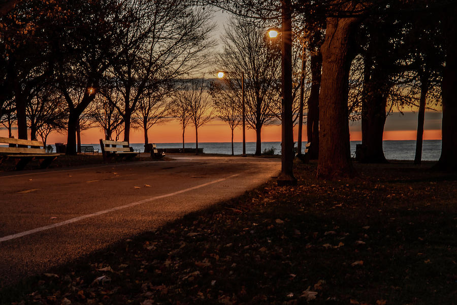 Chicago Lakefront park scene Photograph by Sven Brogren