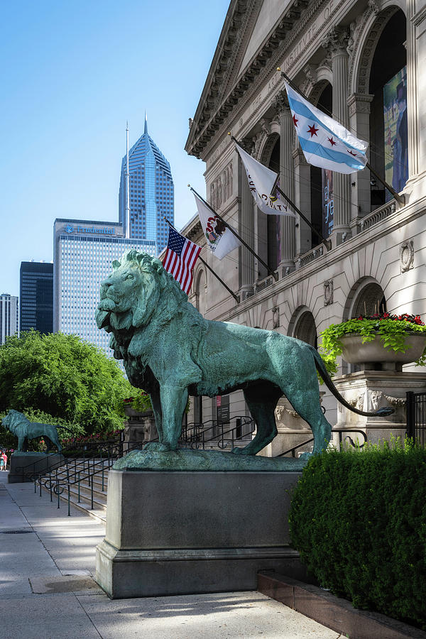 Architecture Photograph - Chicago Lions for the Fine Arts Institute by Chicago In Photographs