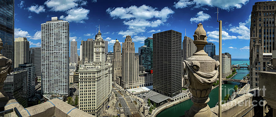 Chicago Panorama Photograph by William Norton