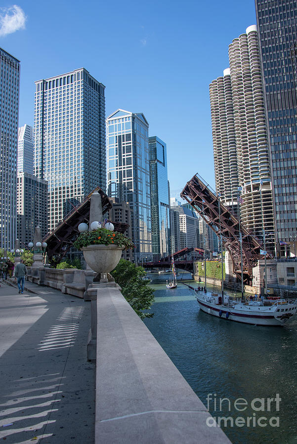 Architecture Photograph - Chicago River by Juli Scalzi