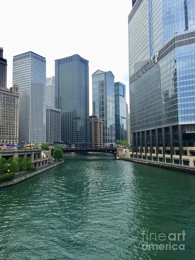 Chicago River View Photograph by M West
