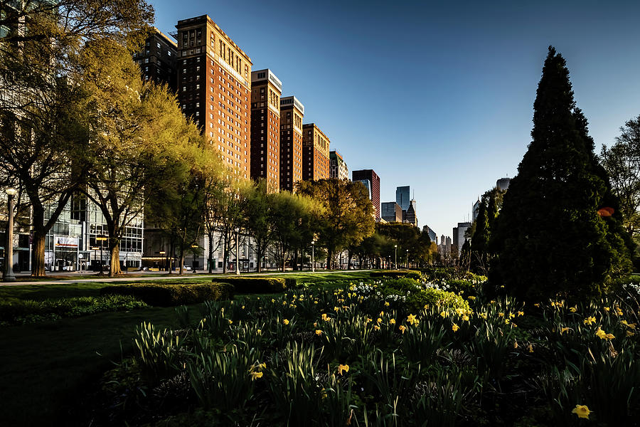 Chicago Skyline and daffodils  Photograph by Sven Brogren