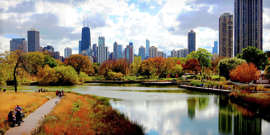 Chicago Skyline Fall Tree Colors Lincoln Park Photograph by Patrick Malon