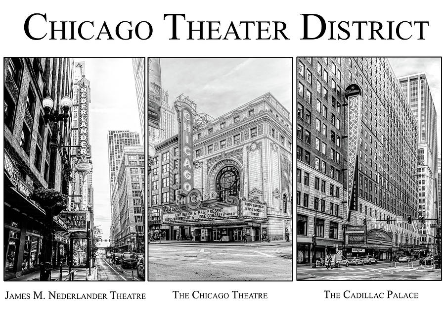 Chicago Theater District Poster Photograph by Sharon Popek