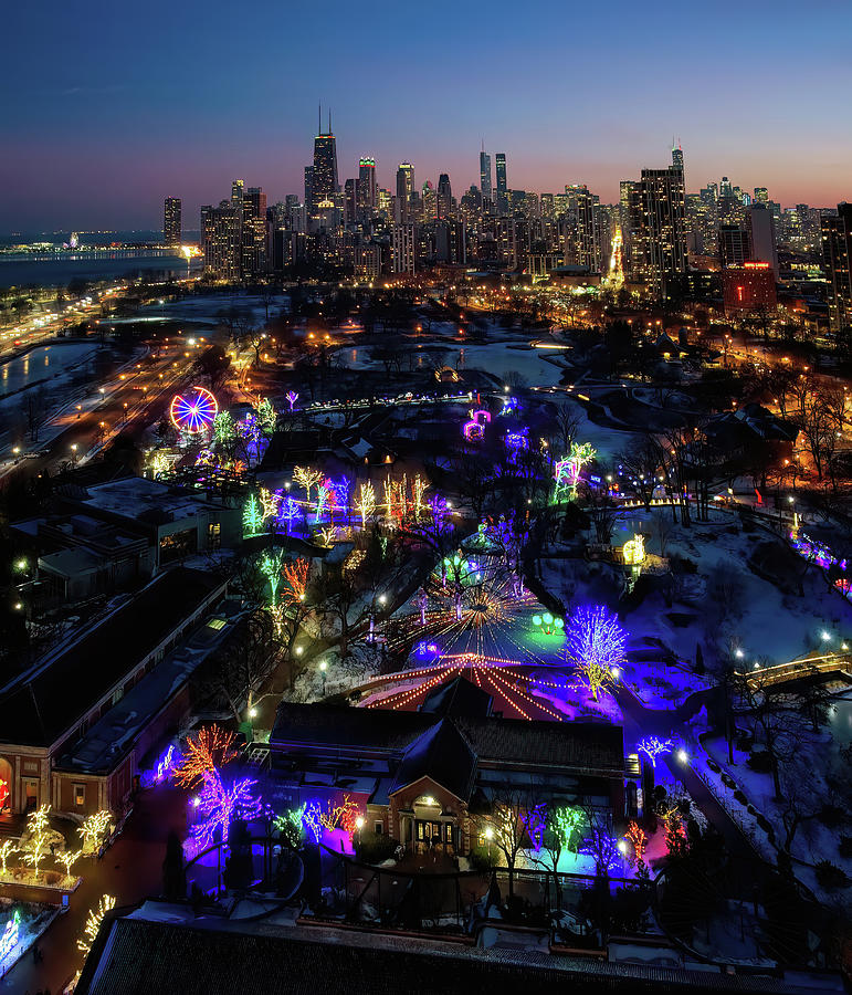 Chicago's Zoo Lights I Photograph by Mark Wiley - Fine Art America