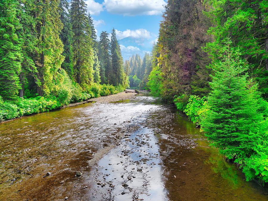 Chichagof Island Alaska Photograph by Peter Cole Fine Art America