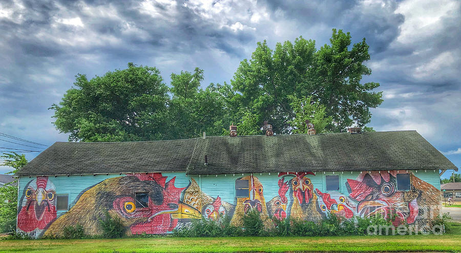 Chick Hatchery Mural-16x9 Photograph by Kathy M Krause
