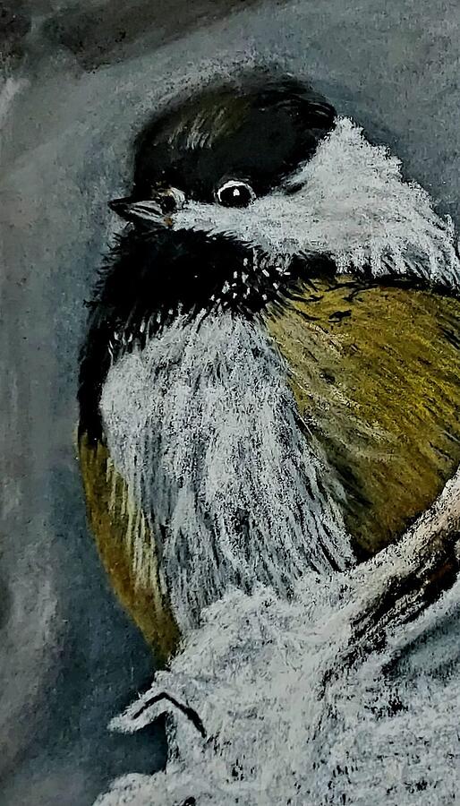 Chickadee Pastel - Chickadee by Donna R Kennedy