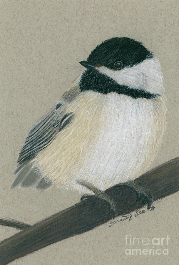 Chickadee Painting by Dorothy Lee