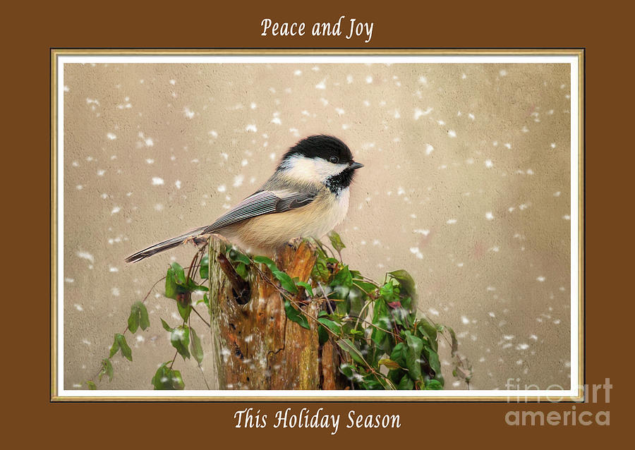Chickadee in Winter Christmas Card Mixed Media by Kathy Kelly