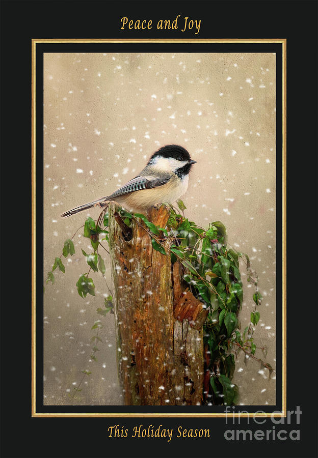 Chickadee in Winter Christmas Card-P Mixed Media by Kathy Kelly