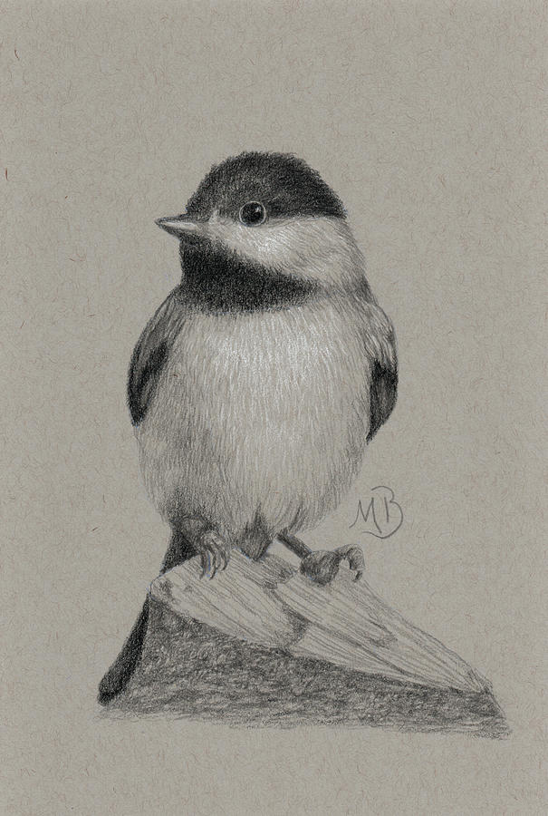 Chickadee Drawing by Monica Burnette