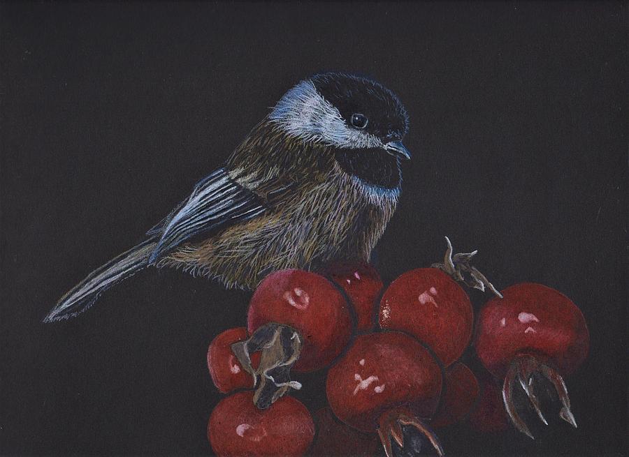 Chickadee Drawing - Chickadee on Berries by Jay Johnston