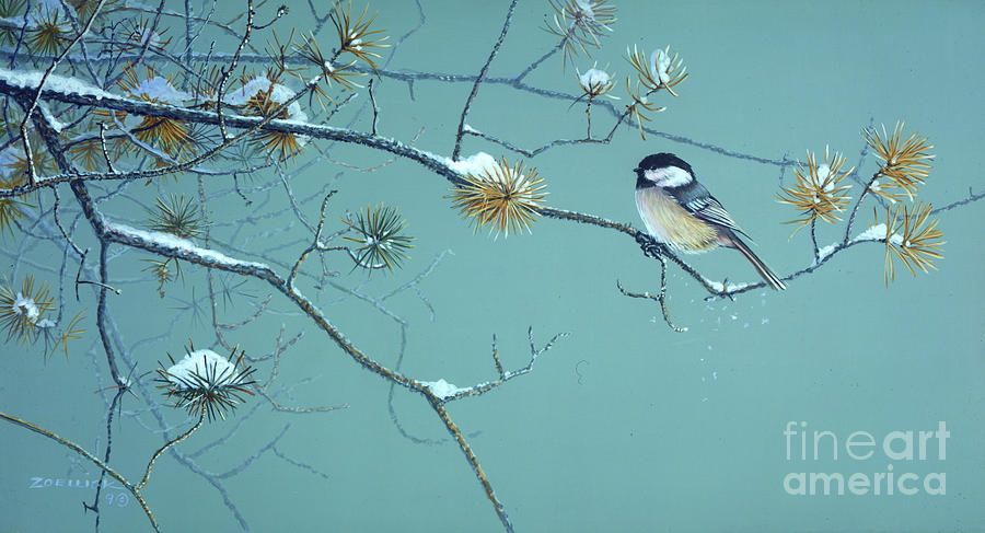 Chickadee Singbird Painting by JQ Licensing