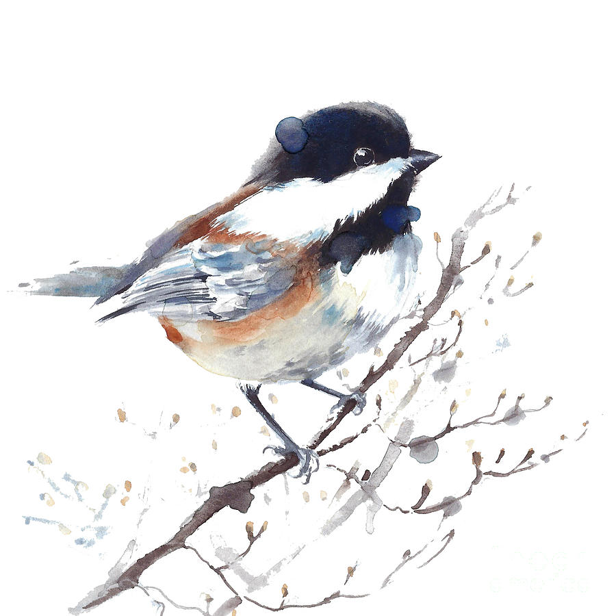 Chickadee watercolor art Painting by Yulia Shevchenko - Fine Art America