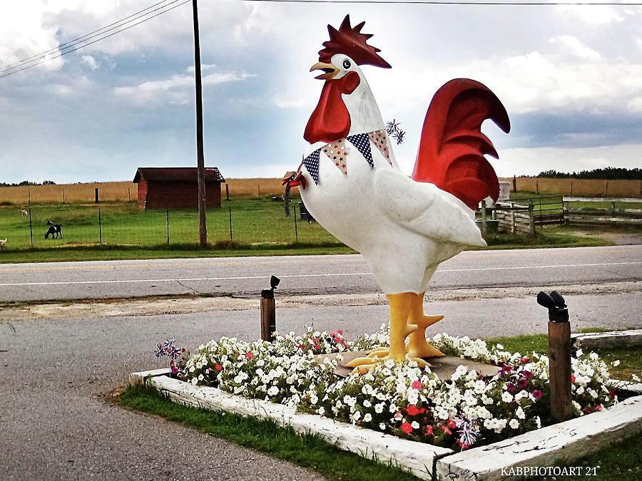 Roadside Chicken Attraction  #1 Photograph by Kathy Barney