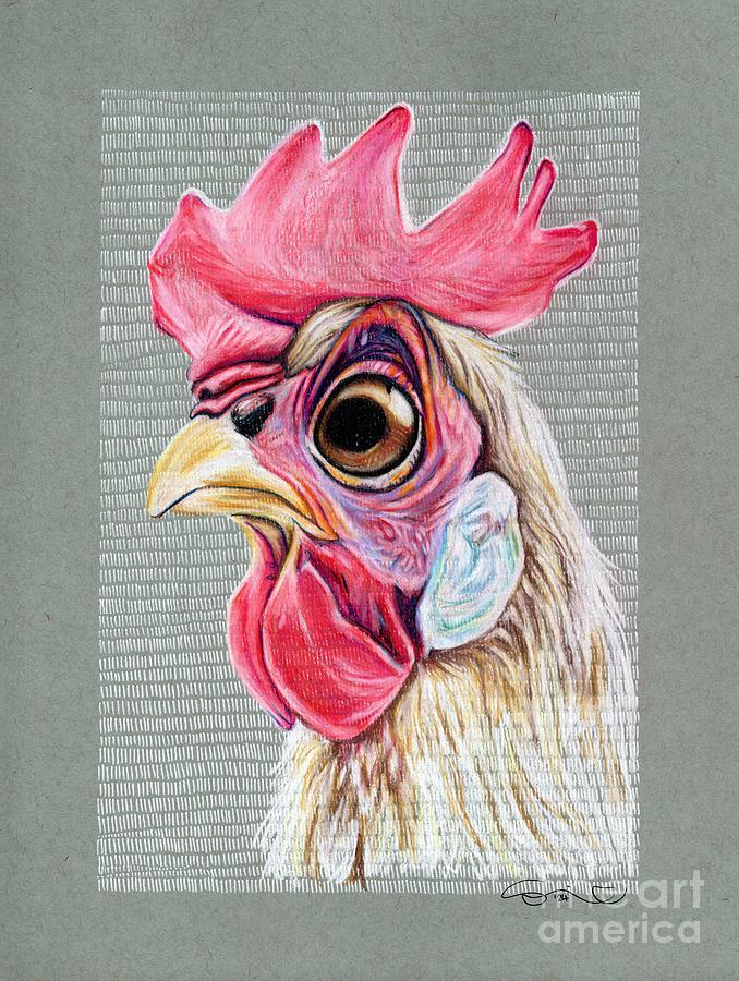 Chicken Bobbi Drawing by Adrienne Smith - Fine Art America