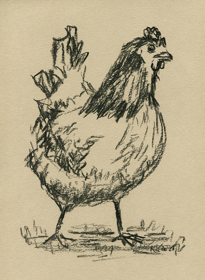 Chicken charcoal sketch Drawing by Karen Kaspar