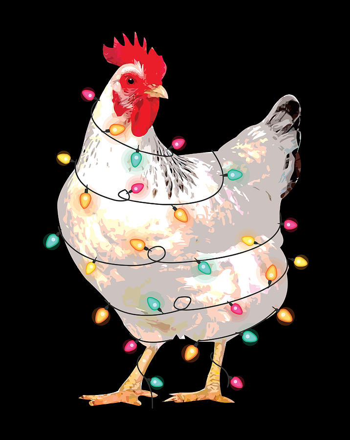 chicken with christmas hat