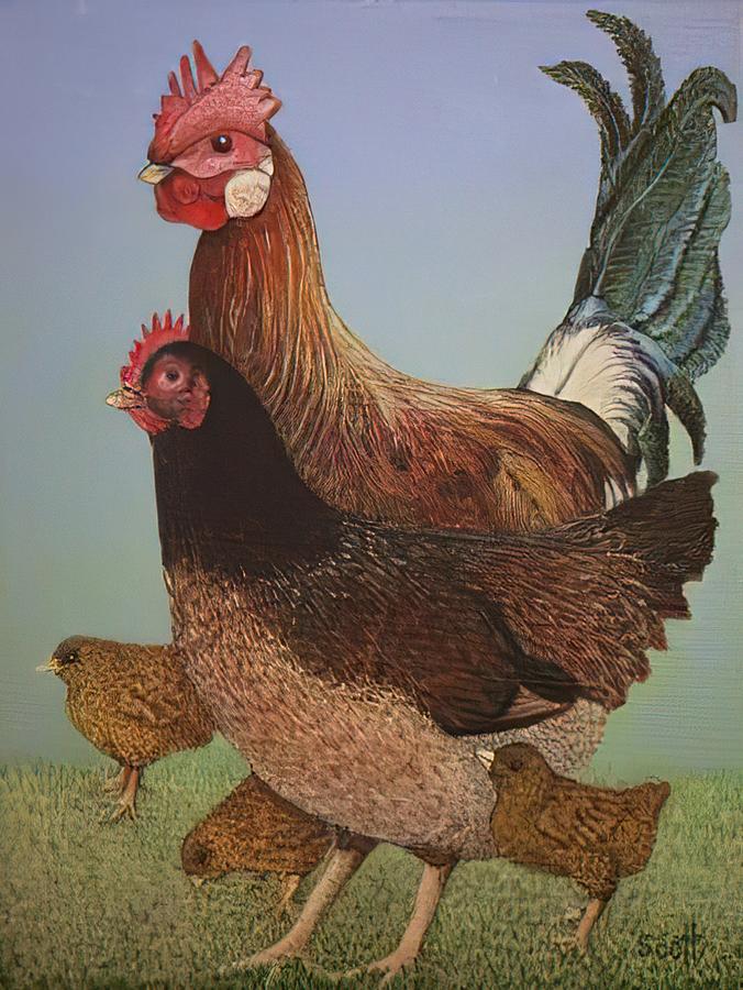 Chicken Family Drawing by DHBubble - Fine Art America