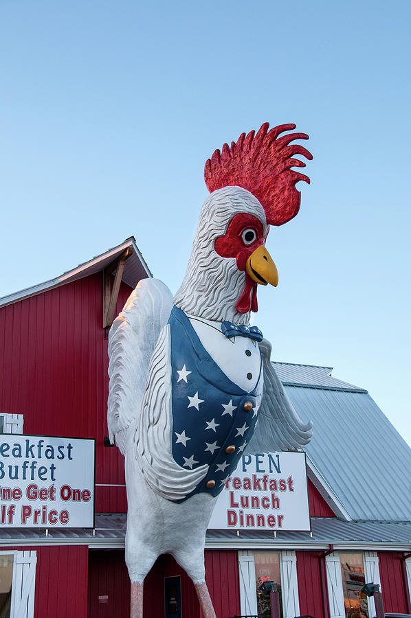 Chicken House Restaurant  Photograph by Steve Stuller