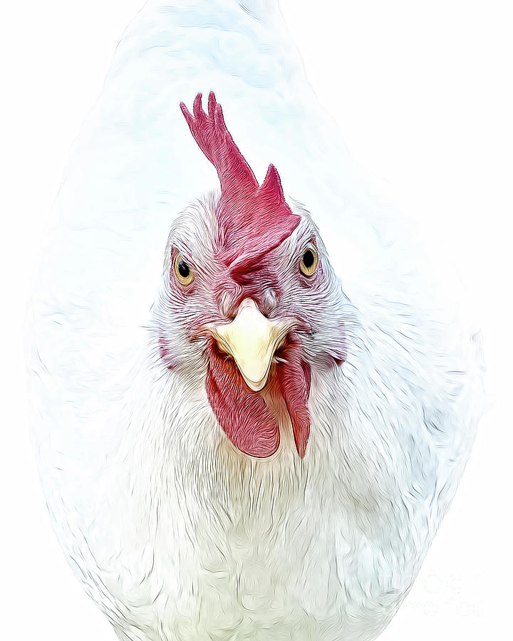 Bild von Huhn: Unlocking the Power of Poultry Portraiture