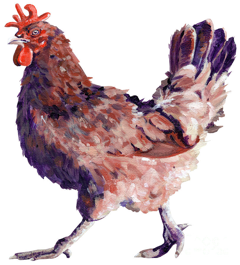 Chicken Strut - painting Painting by Annie Troe