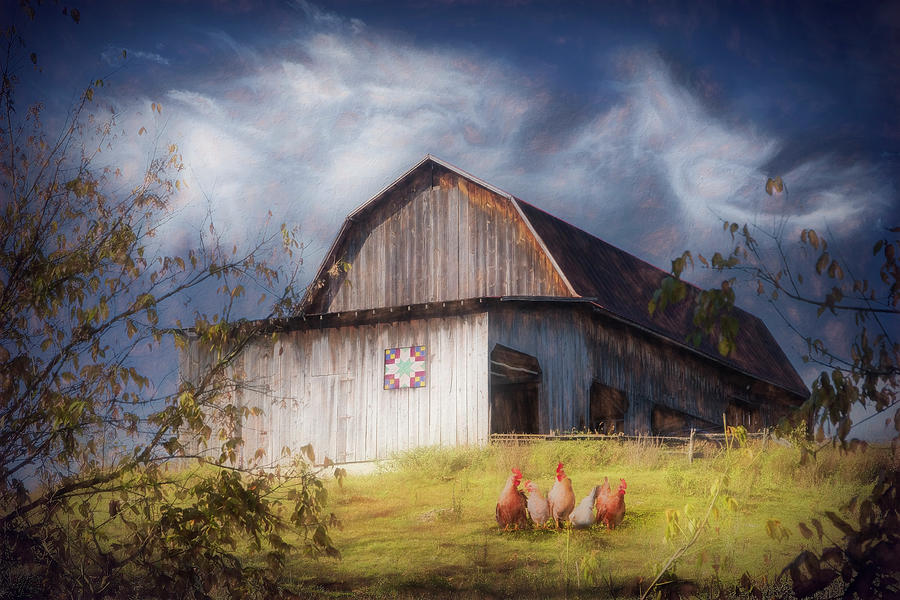 Chickens at the Farm Barn Painting Photograph by Debra and Dave Vanderlaan