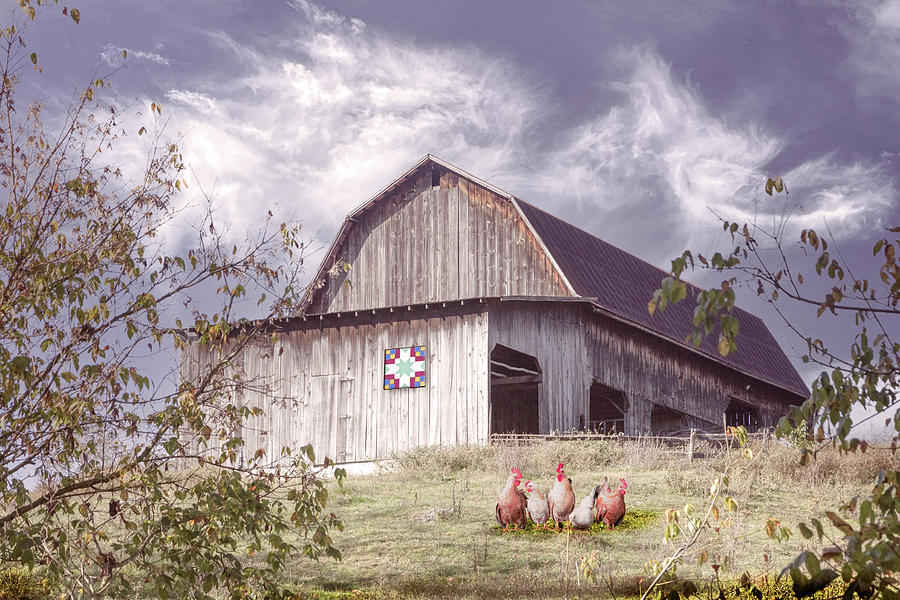 Chickens at the Farmhouse Barn Photograph by Debra and Dave Vanderlaan