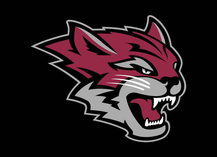 Chico State Wildcats Digital Art by Baron Barnum - Fine Art America