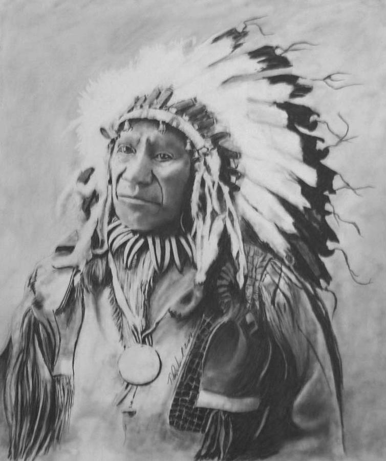 Chief American Horse Drawing by Tim Penland | Fine Art America