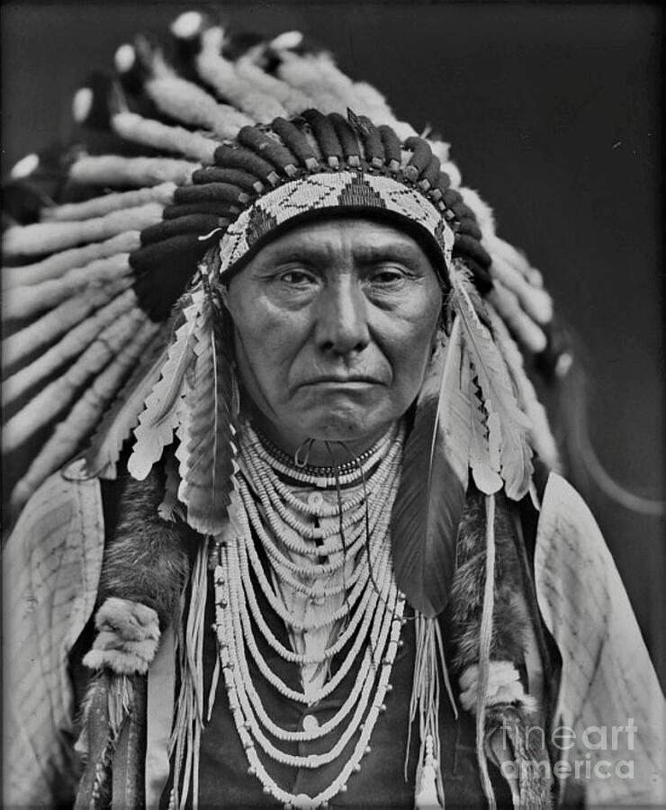 Feather Photograph - Chief Joseph of  the Nez Perce Indians  Edward S Curtis Image   by Rory Cubel