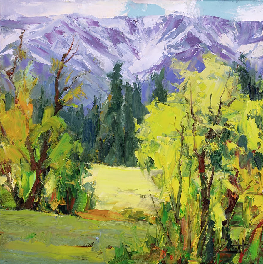 Mountain Painting - Chief Joseph Range by Steve Henderson