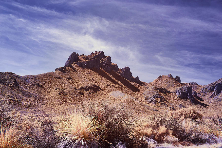 Chihuahua Desert Landscape  Photograph by Jim Cook