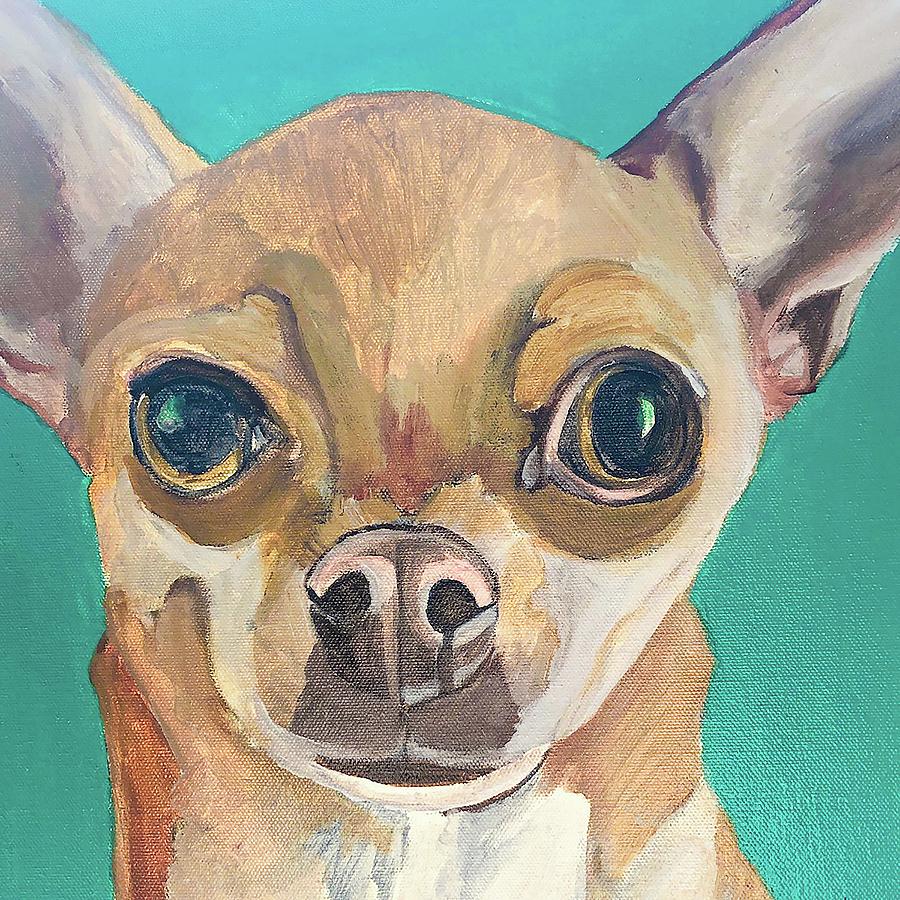 https://images.fineartamerica.com/images/artworkimages/mediumlarge/3/chihuahua-dog-face-meredith-brooks.jpg