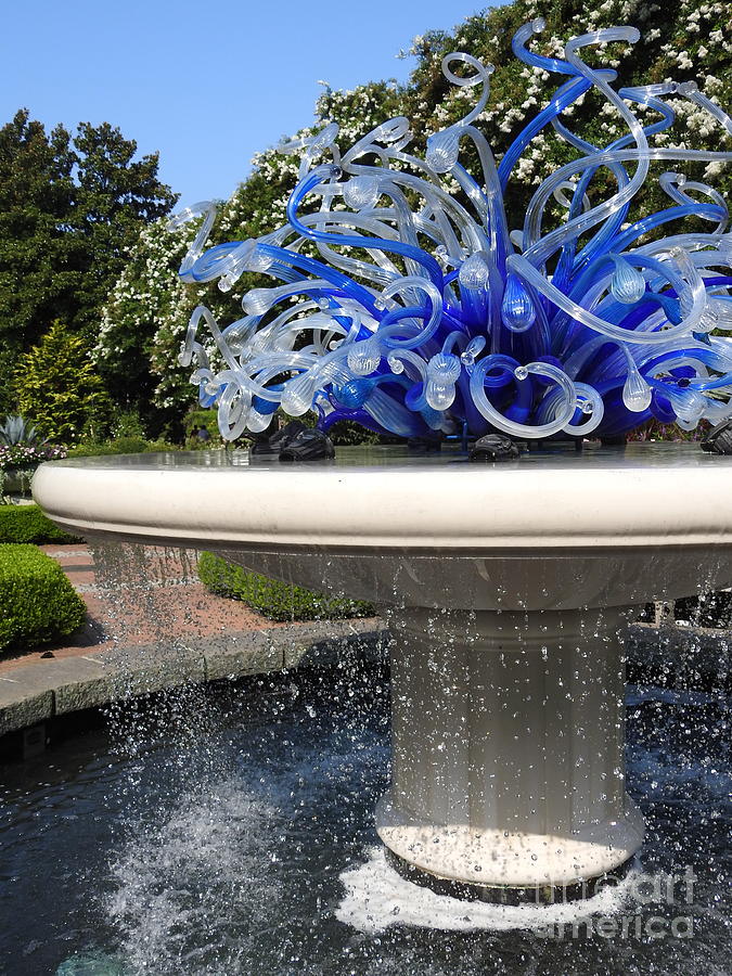 Chihuly blue Fountain Photograph by Tina M Powell - Fine Art America