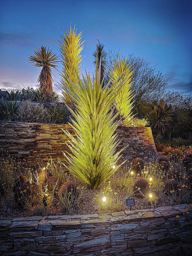 Chihuly Desert Glass Sculptures Photograph by Linda Unger
