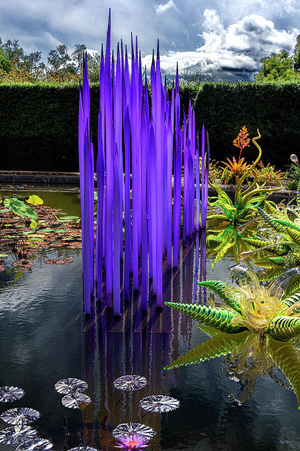 Chihuly Garden Art at Biltmore by Brian Shaw