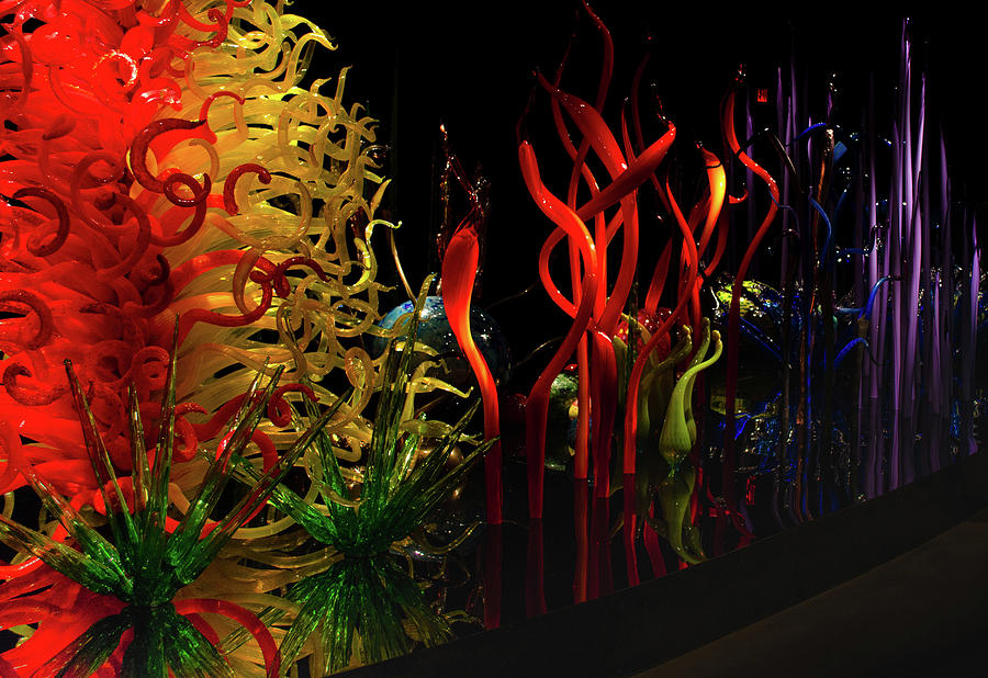 Chihuly Glass No.2 Photograph by Vicky Edgerly