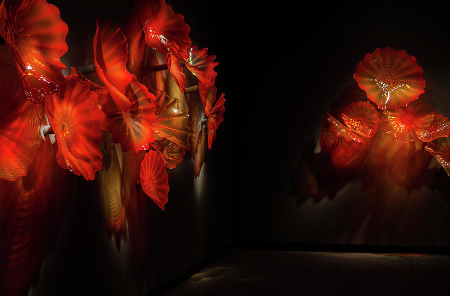 Chihuly Glass No.4 Photograph by Vicky Edgerly