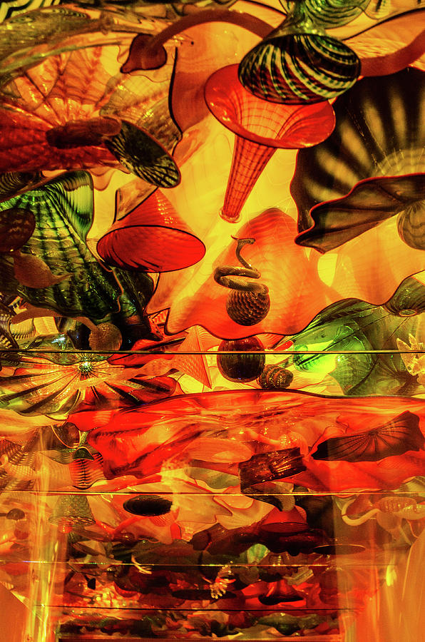 Chihuly Glass No.5 Photograph by Vicky Edgerly
