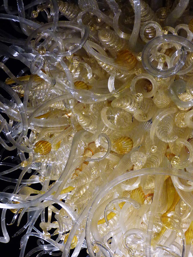 Chihuly Glass Sculpture Sole Doro Close-up 2 Photograph