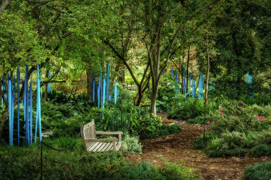 Chihuly In The Dell Photograph by Ann Skelton