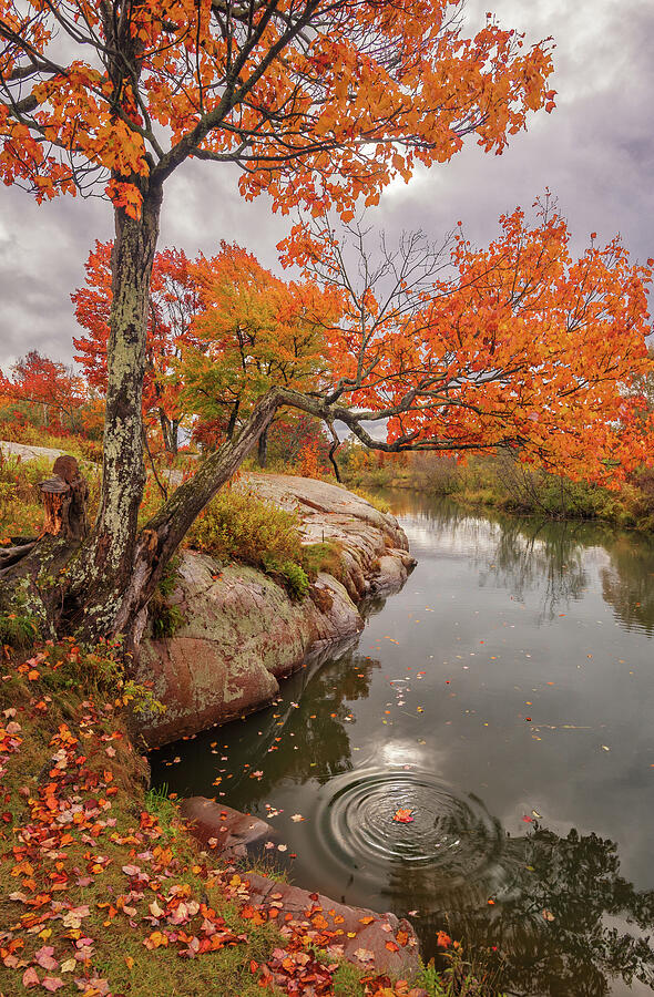 Fall Photograph - Chikanishing Autumn by Tracy Munson