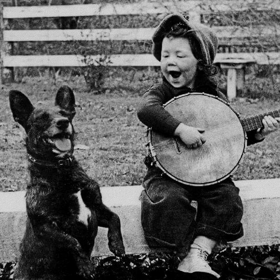 Child Playing A Banjo For His Dog Photograph by War Is Hell Store