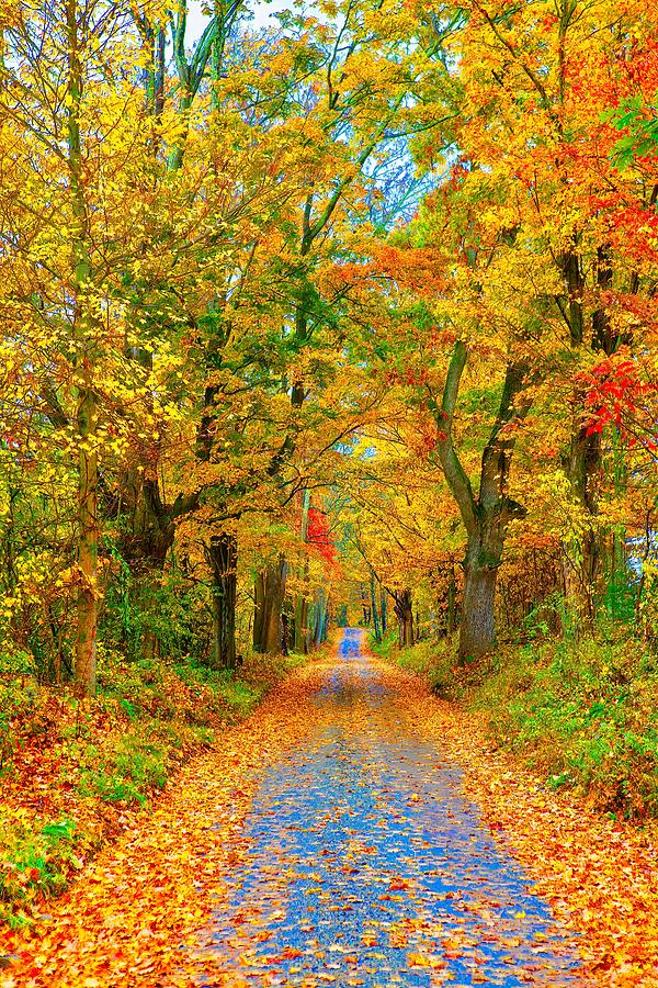 Child Road Photograph by John Babis - Fine Art America