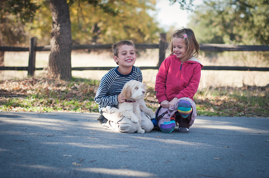 Children and Dog Sitting Together Outdoors Photograph by Teresa Short
