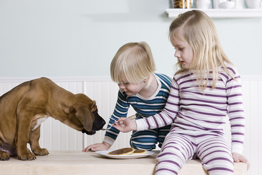 Children Feeding Pancakes To Their Dog Photograph by RubberBall Productions